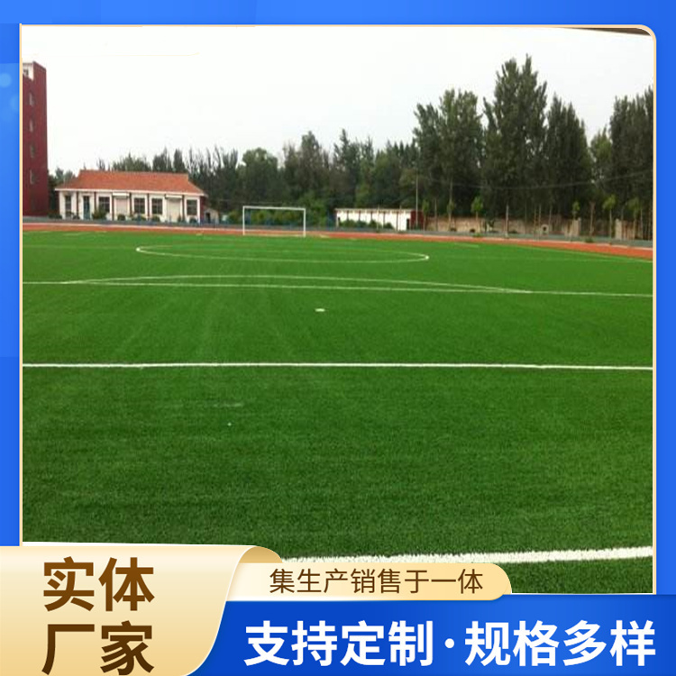 淮南市塑胶跑道人造草坪 - 推荐